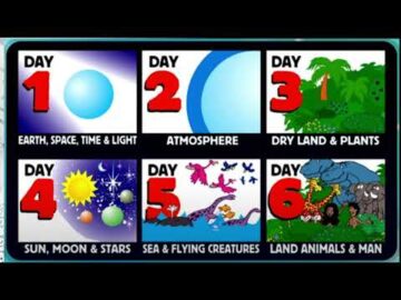 2025년 08월 17일, "창조의 최종 목적인 인간 창조", 창 1:26~31